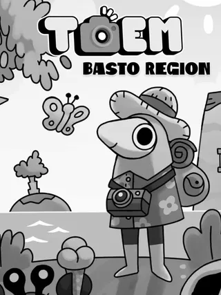 cover art for Toem: Basto Region