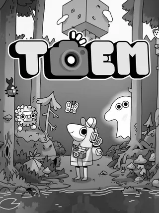cover art for Toem